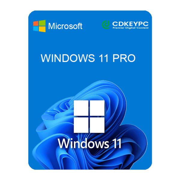 Windows 11 Professional